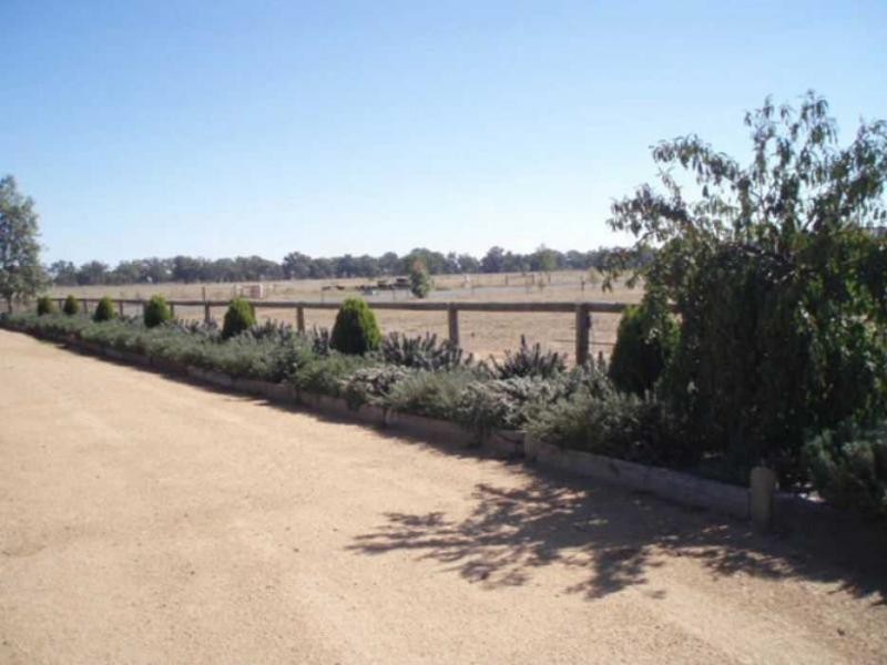 115 Cobrawonga Road, Yarrawonga VIC 3730