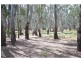 1978 Murray Valley Highway, Cobram East VIC 3644