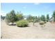 681 Chapel Road, Cobram East VIC 3644