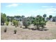 681 Chapel Road, Cobram East VIC 3644