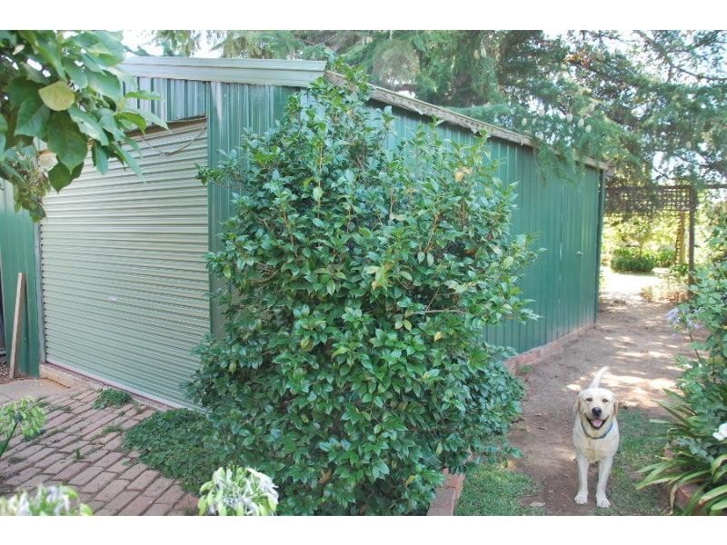 4 O’Dwyer Avenue, Cobram VIC 3644