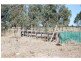 933 Murray Valley Highway, Strathmerton VIC 3641