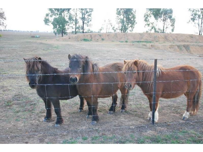 84 Telford/Yarrawonga Road, Yarrawonga VIC 3730