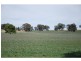 00 Back Barooga Road, Barooga NSW 3644