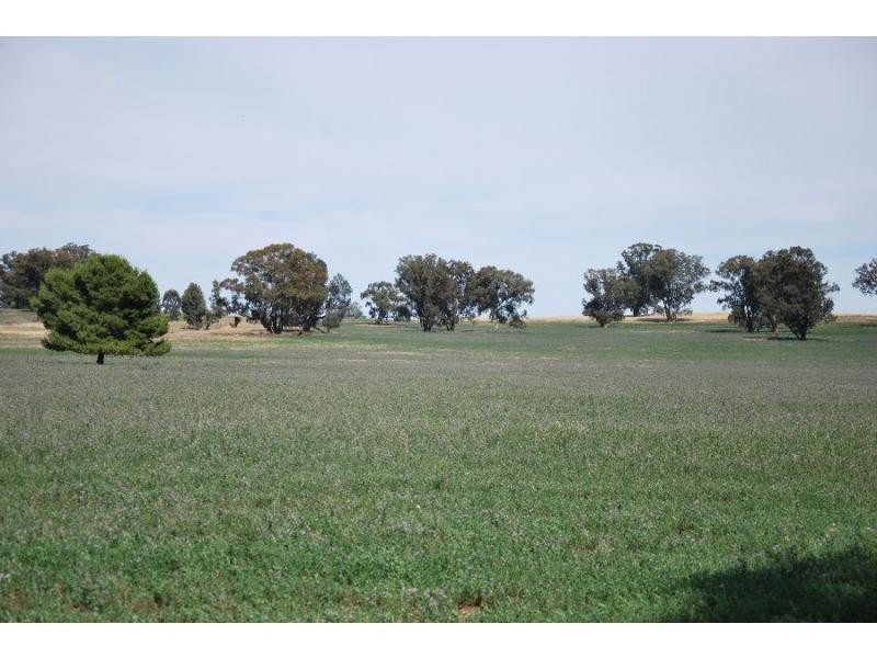 00 Back Barooga Road, Barooga NSW 3644