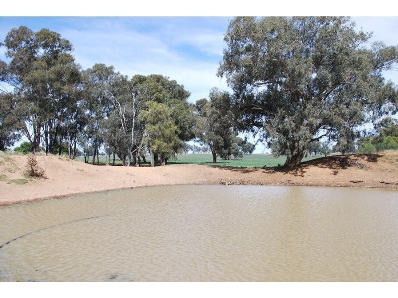 00 Back Barooga Road, Barooga NSW 3644