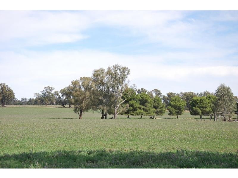 00 Back Barooga Road, Barooga NSW 3644