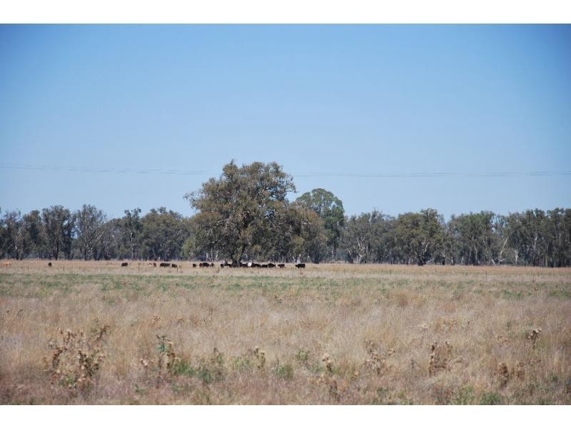 7243 Goulburn Valley Highway, Koonoomoo VIC 3644