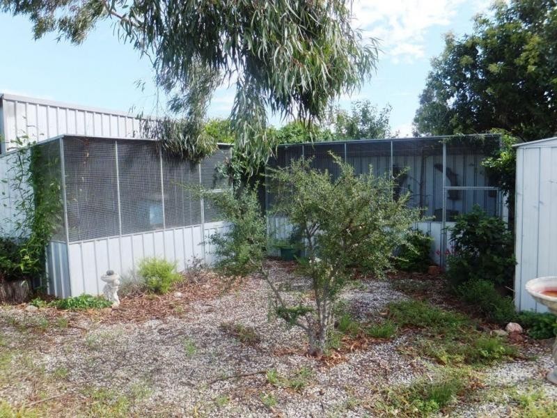 61-63 Budd Street, Berrigan NSW 2712