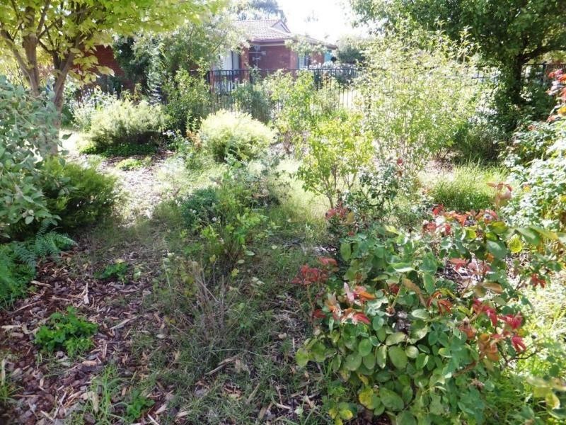 61-63 Budd Street, Berrigan NSW 2712