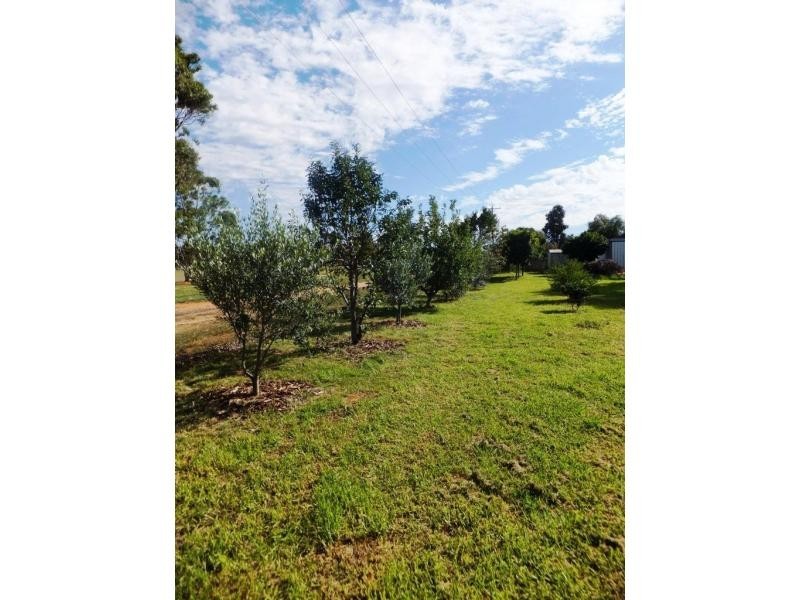 61-63 Budd Street, Berrigan NSW 2712
