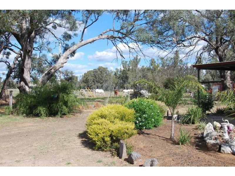 377 Thorpes Lane, Nathalia VIC 3638