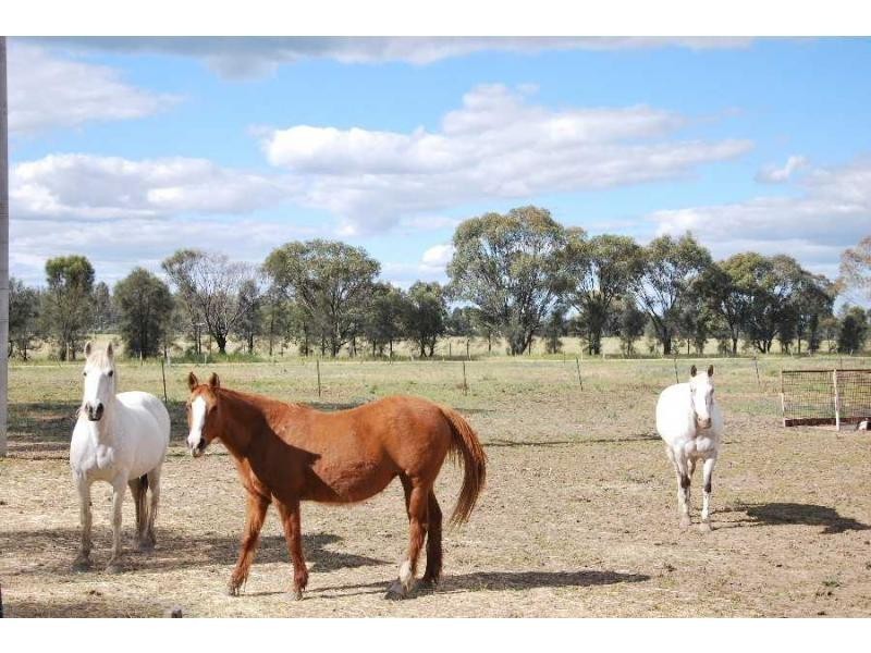 377 Thorpes Lane, Strathmerton VIC 3641