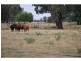 7131 – 7149 Goulburn Valley Highway, Koonoomoo VIC 3644