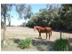 6276 Tocumwal-Benalla Road, Cobram VIC 3644