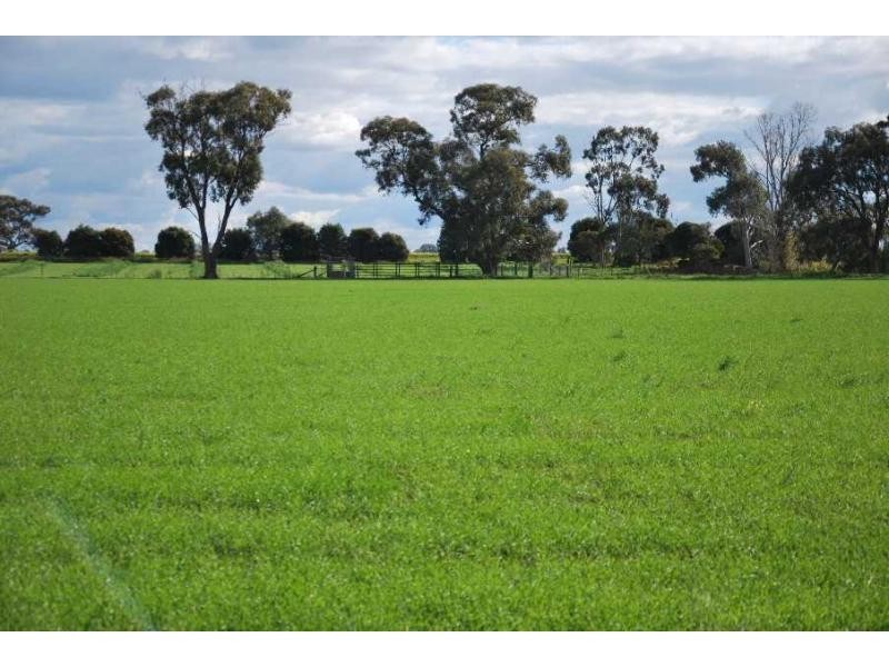 996 Sandmount Road, Katunga VIC 3640