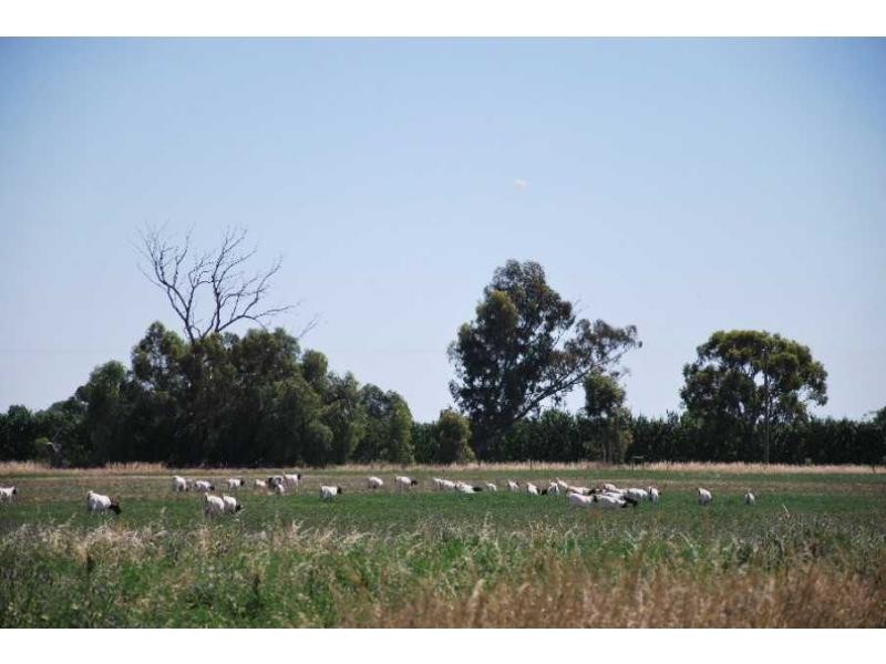 6276 Tocumwal-Benalla Road, Cobram VIC 3644