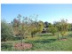 5 Franks Road, Barooga NSW 3644
