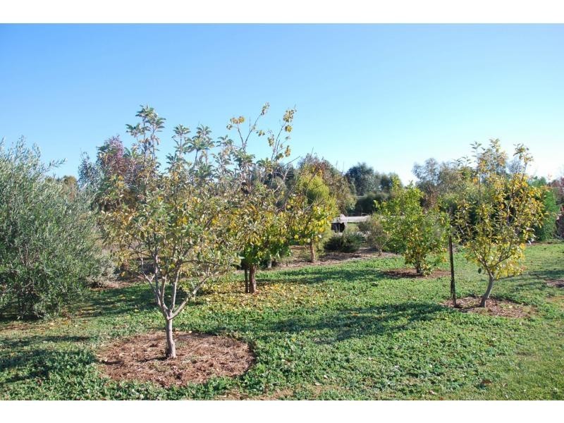 5 Franks Road, Barooga NSW 3644
