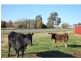 3232 Murray Valley Highway, Cobram VIC 3644