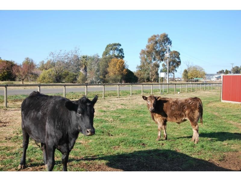 3232 Murray Valley Highway, Cobram VIC 3644