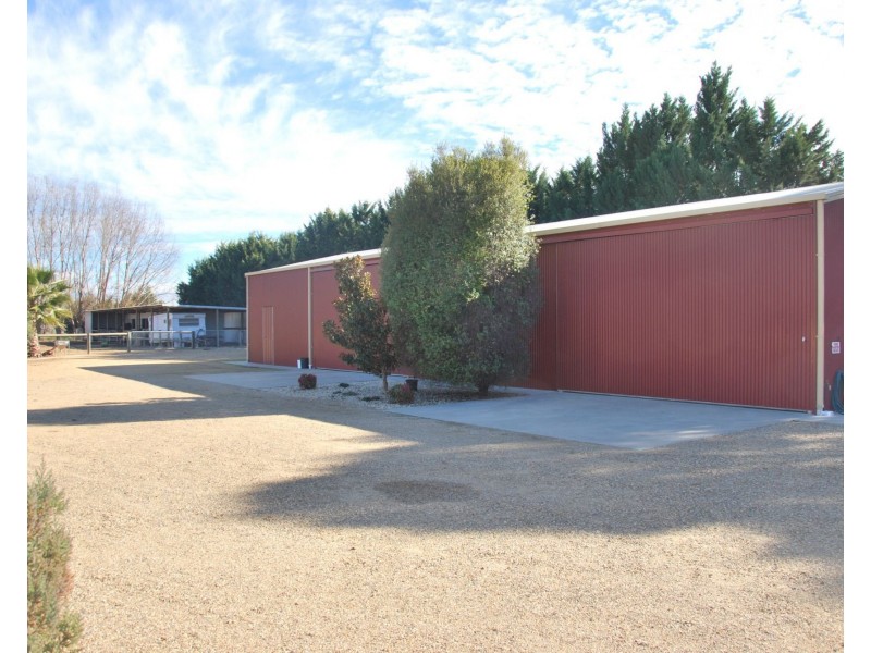 13 Catona Crescent, Cobram VIC 3644