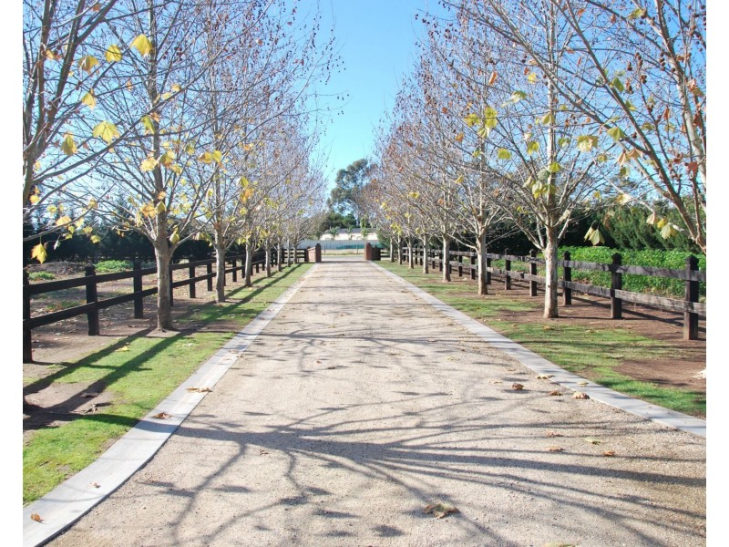 13 Catona Crescent, Cobram VIC 3644