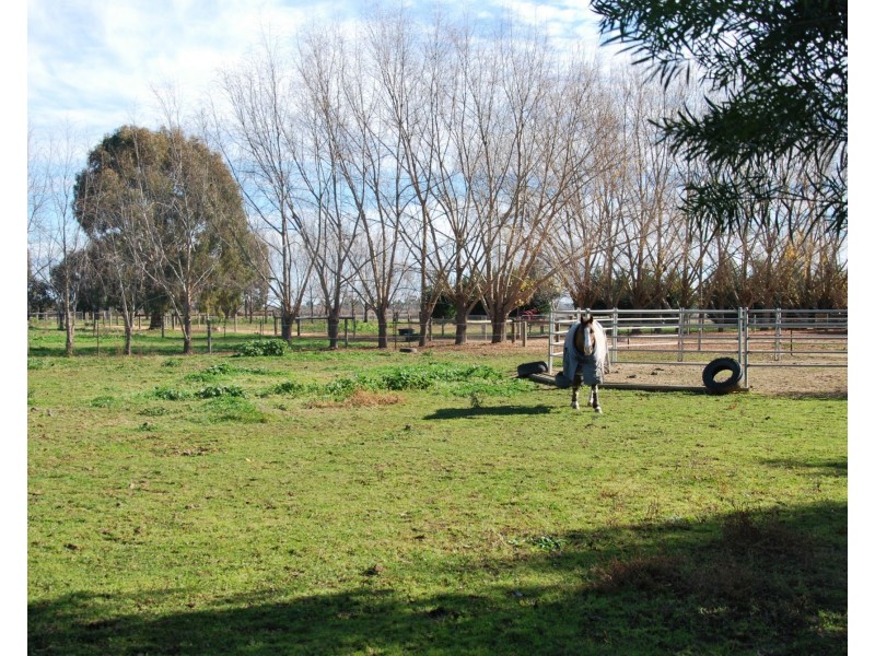 13 Catona Crescent, Cobram VIC 3644