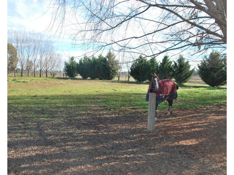 13 Catona Crescent, Cobram VIC 3644
