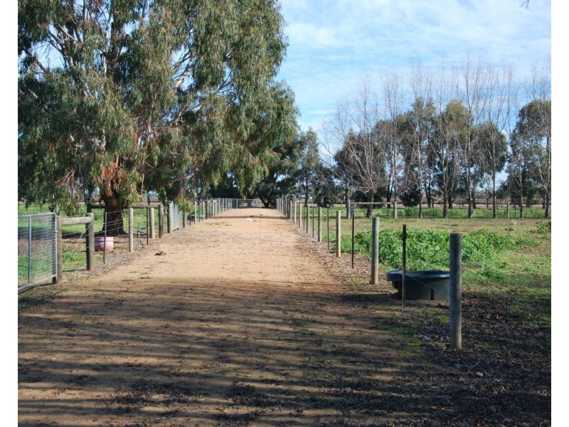 13 Catona Crescent, Cobram VIC 3644