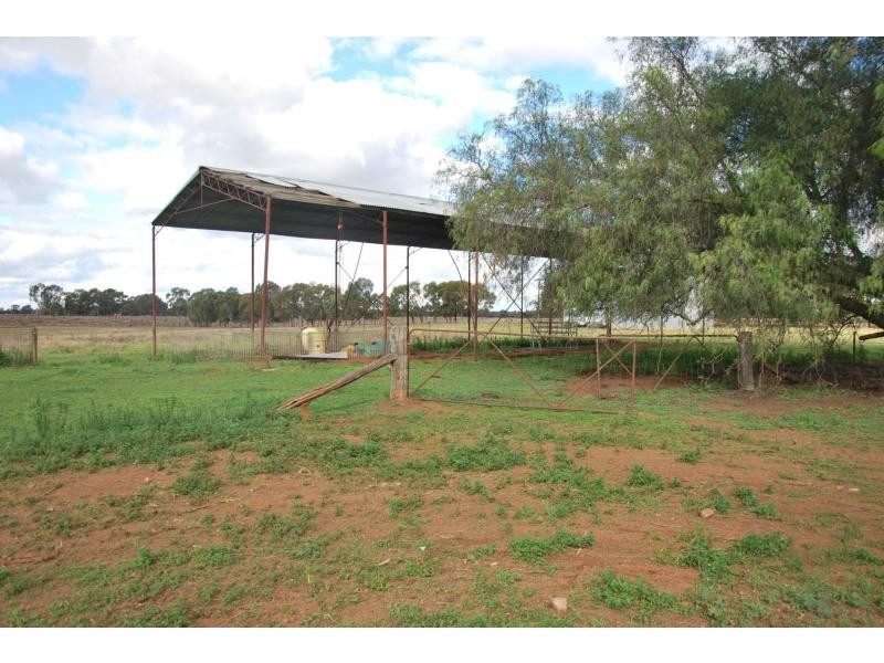 3514 Tocumwal Road, Barooga NSW 3644