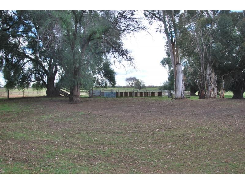 3514 Tocumwal Road, Barooga NSW 3644