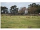 1120 Larissa Road, Cobram VIC 3644