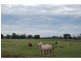 1120 Larissa Road, Cobram VIC 3644