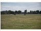 1120 Larissa Road, Cobram VIC 3644
