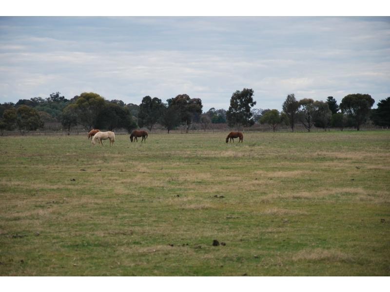 1120 Larissa Road, Cobram VIC 3644