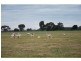 1120 Larissa Road, Cobram VIC 3644