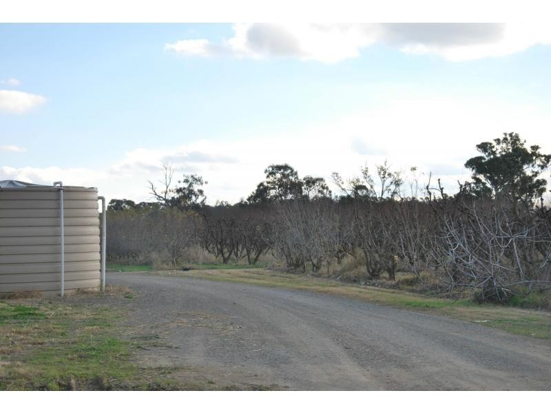 174 Purgatory Road, Cobram VIC 3644