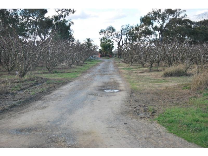 174 Purgatory Road, Cobram VIC 3644