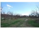 174 Purgatory Road, Cobram VIC 3644
