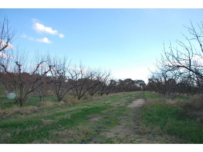 174 Purgatory Road, Cobram VIC 3644