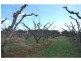 174 Purgatory Road, Cobram VIC 3644