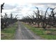 174 Purgatory Road, Cobram VIC 3644