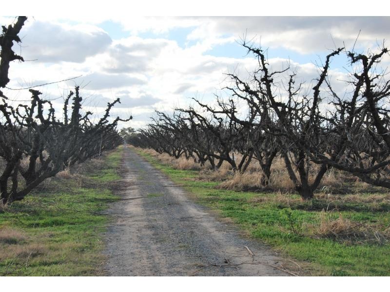 174 Purgatory Road, Cobram VIC 3644