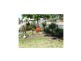 Berrigan NSW 2712