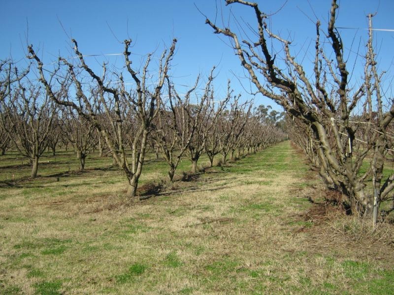 00 Cobram-Koonoomoo Road, Cobram VIC 3644