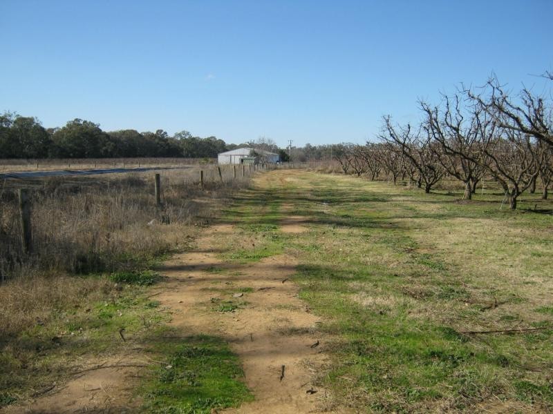 00 Cobram-Koonoomoo Road, Cobram VIC 3644