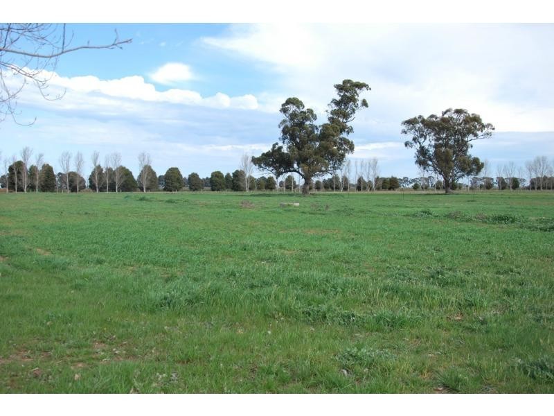 222 Grinter Road, Cobram East VIC 3644