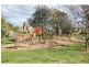19 Catona Crescent, Cobram VIC 3644