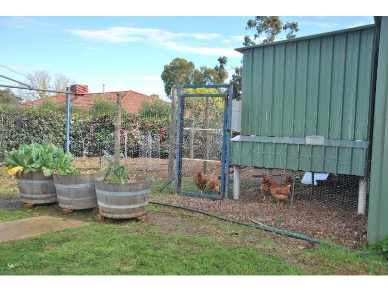 58 Barinya Street, Barooga NSW 3644